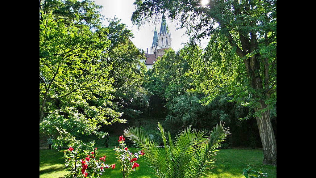 Garten4