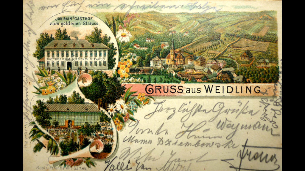 Bild 22