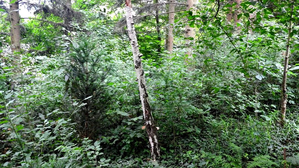 Bild 14