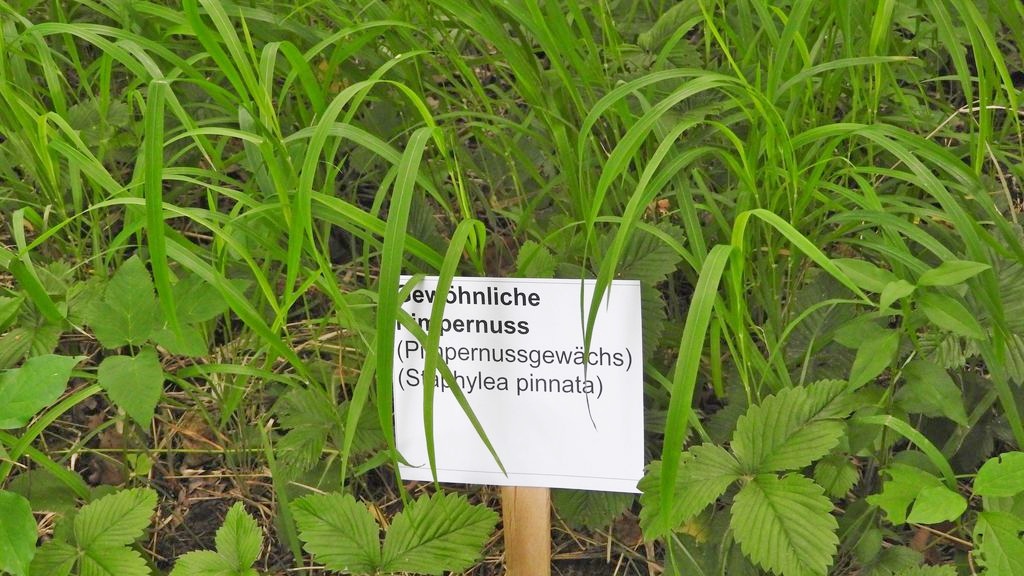 Bild 19