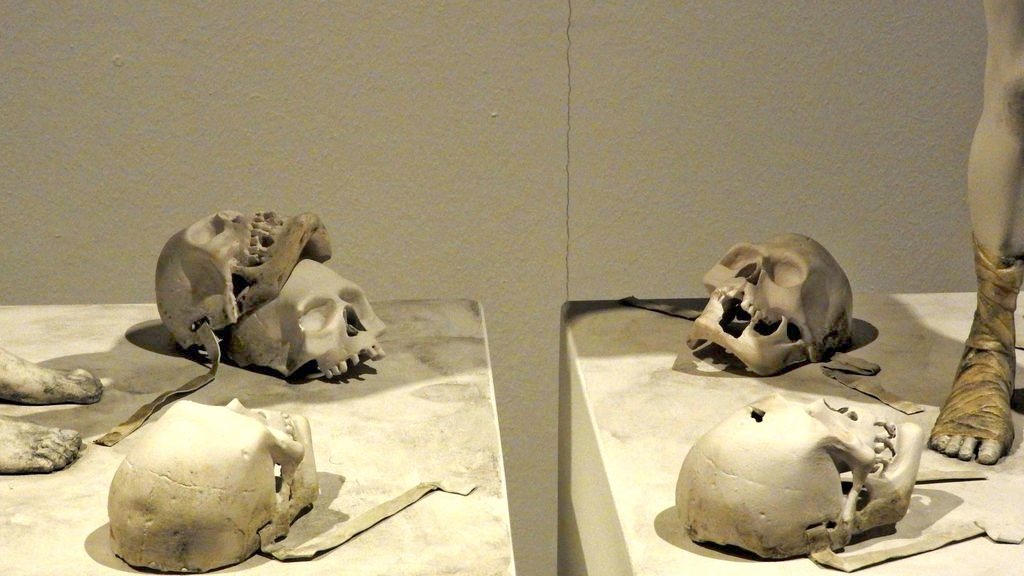Bild 21