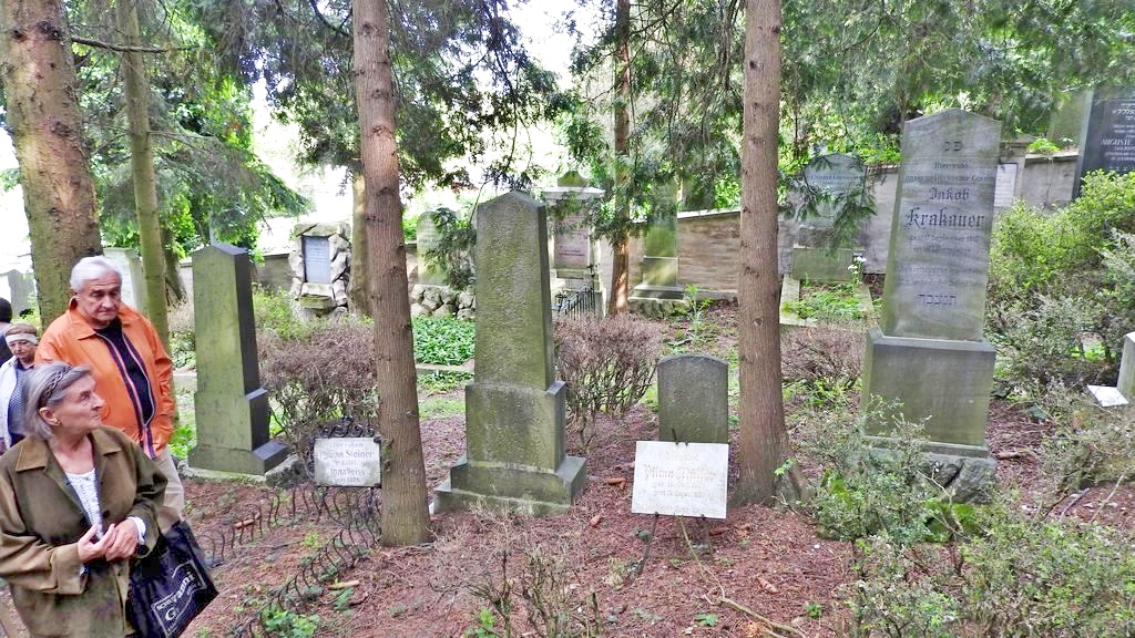 Bild 16