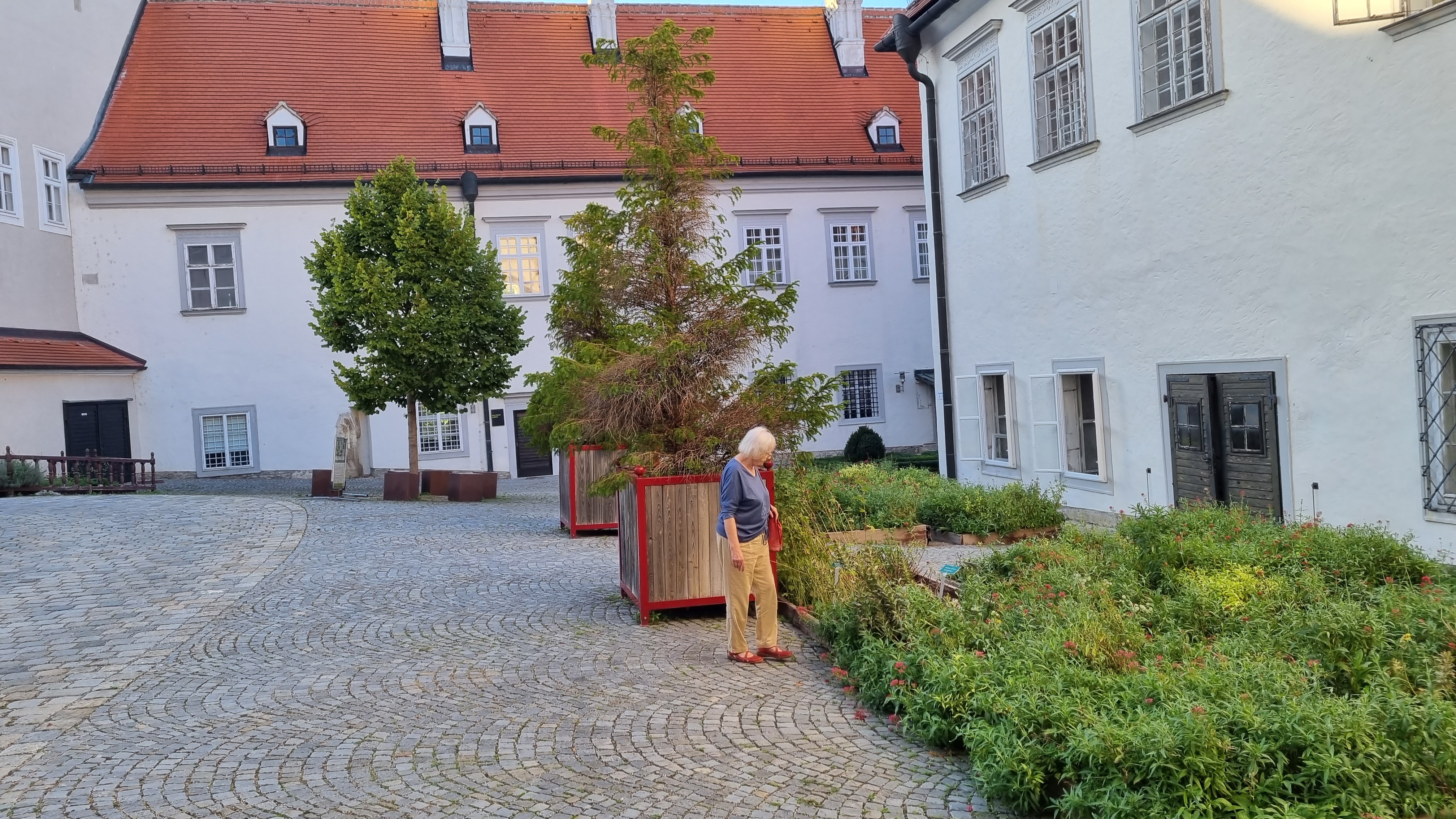 Bild 2