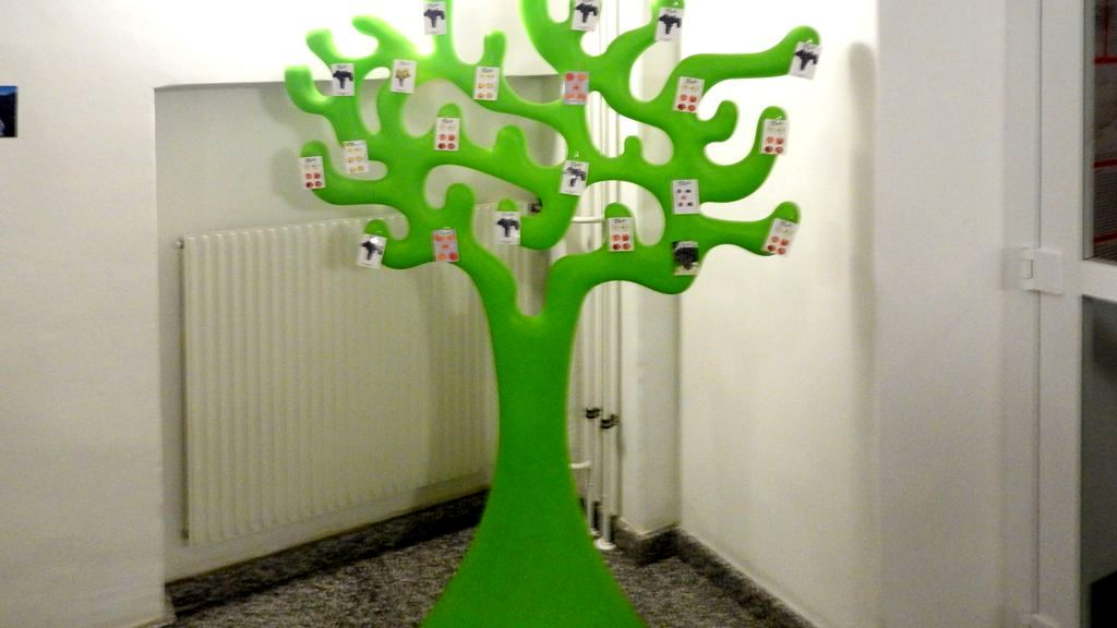 Bild 4