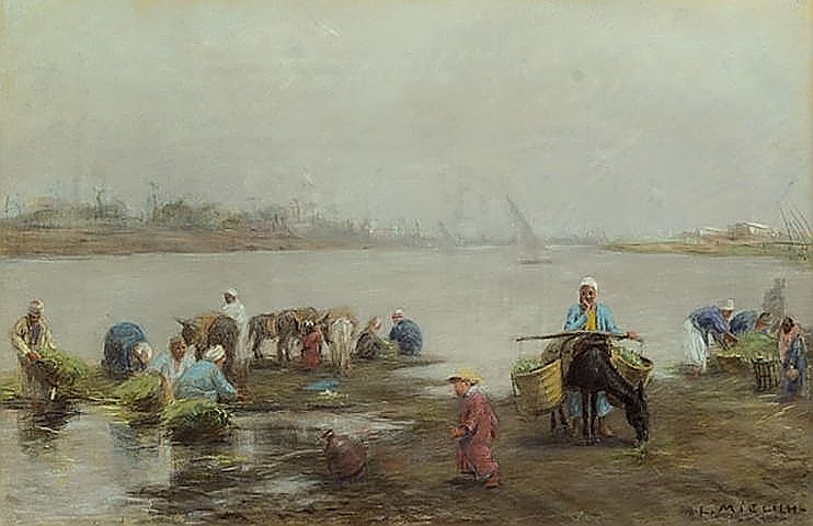 Nilufer mit Eseln